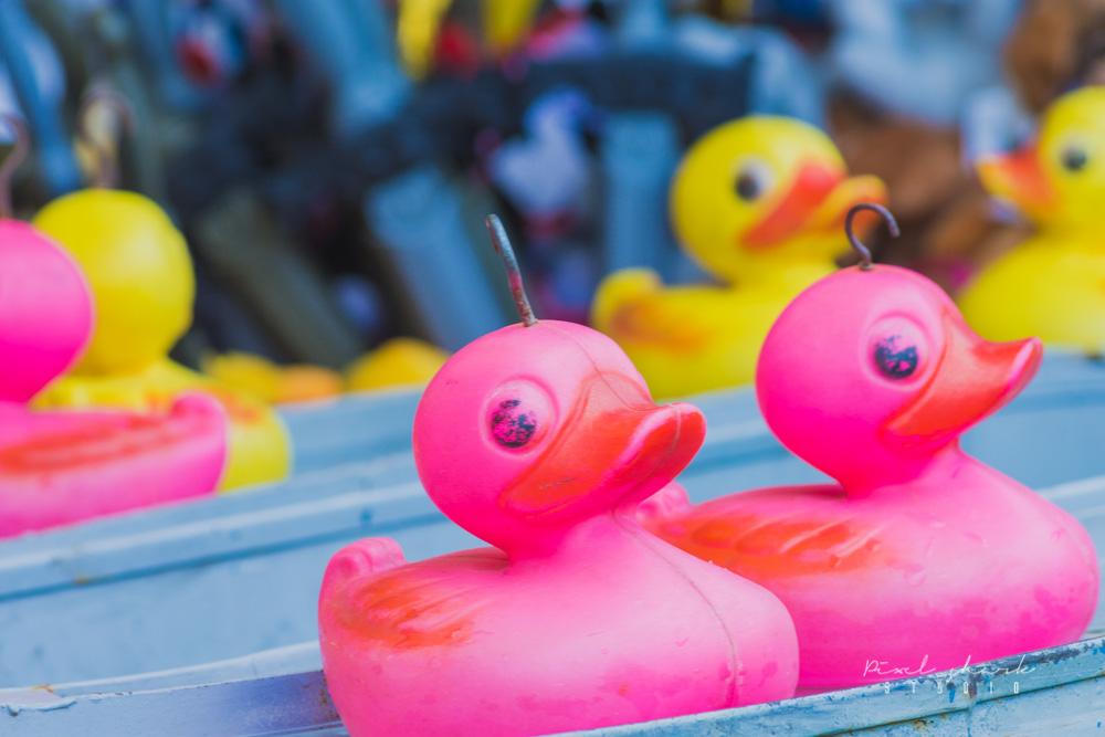 Two pink hook-a-ducks sit next to each other