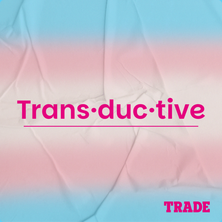 Transduction social group logo